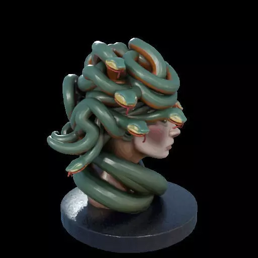 2156  Medusa Gorgon Head 3D Model  magic 3D print model_33