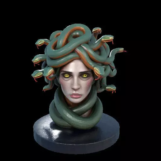 2156  Medusa Gorgon Head 3D Model  magic 3D print model_6