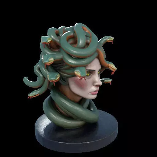 2156  Medusa Gorgon Head 3D Model  magic 3D print model_30