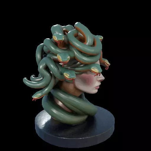 2156  Medusa Gorgon Head 3D Model  magic 3D print model_32