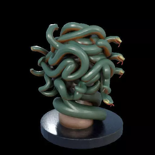 2156  Medusa Gorgon Head 3D Model  magic 3D print model_11
