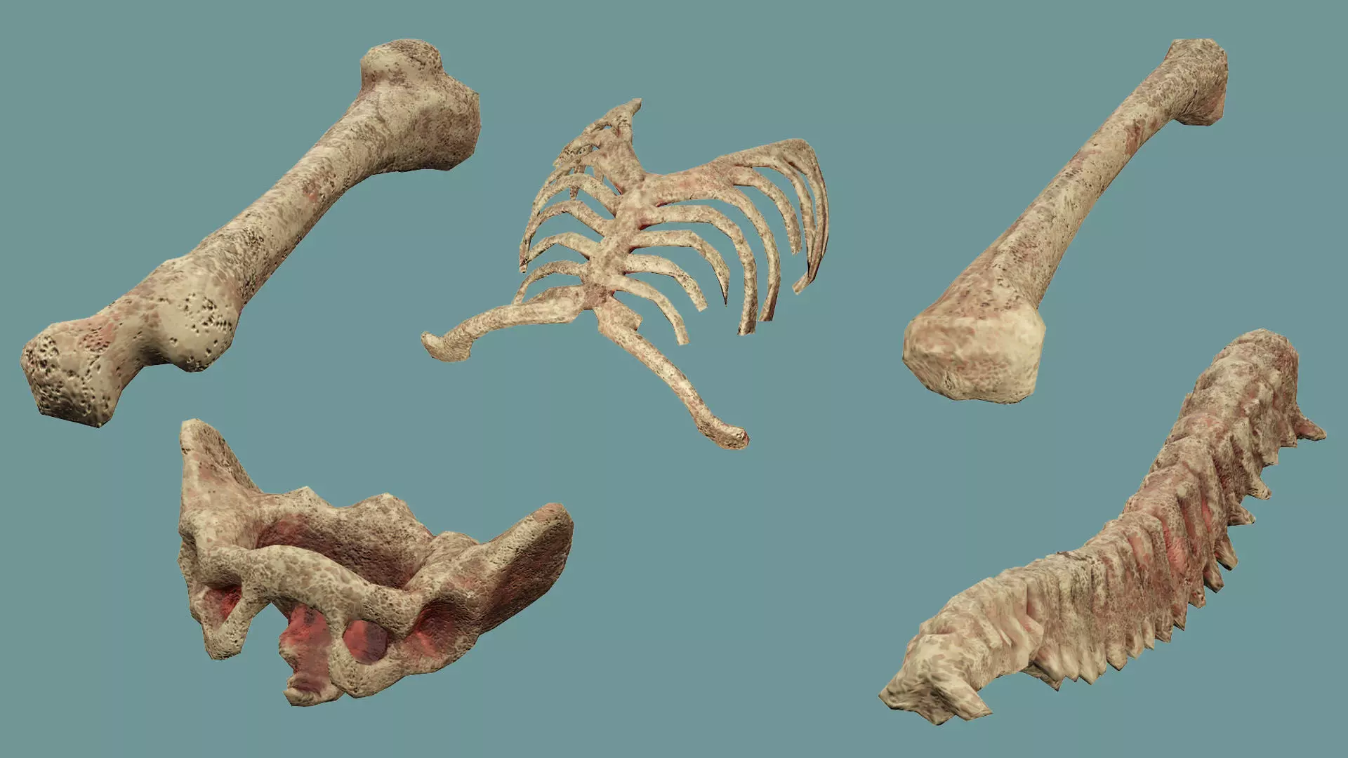 Horror Assets Human Corpses Body Collection X3 Pack 3D Model Low-poly 3D model_10