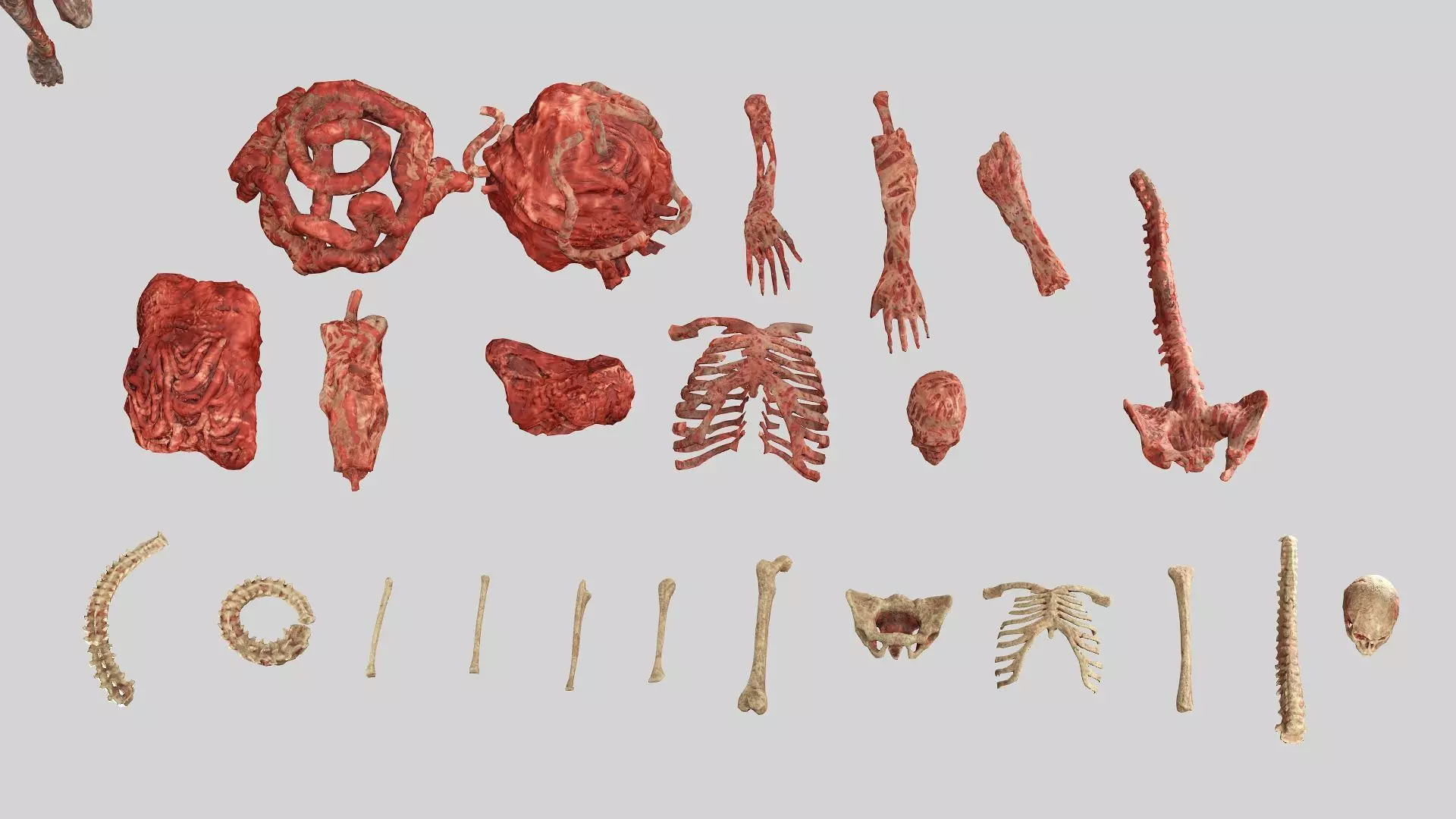 Horror Assets Human Corpses Body Collection X3 Pack 3D Model Low-poly 3D model_7