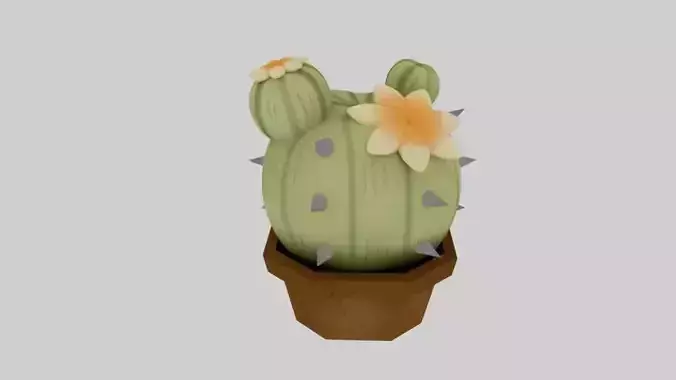 Cactus