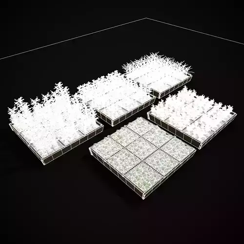 Square Planting Plots Vegetables Low-poly 3D model 6