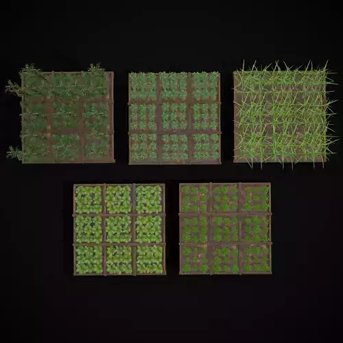 Square Planting Plots Vegetables Low-poly 3D model 3