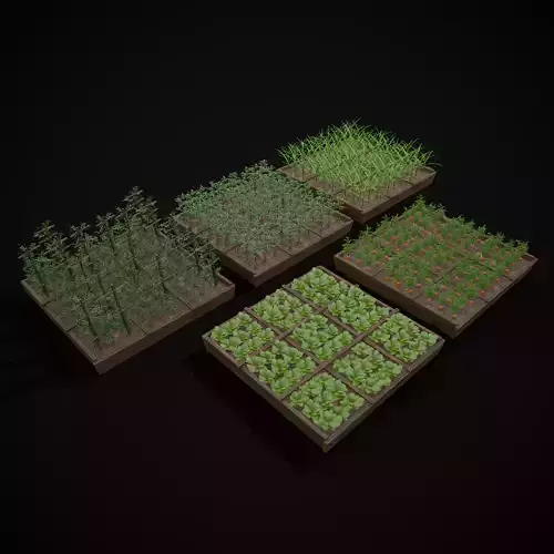 Square Planting Plots Vegetables Low-poly 3D model 5