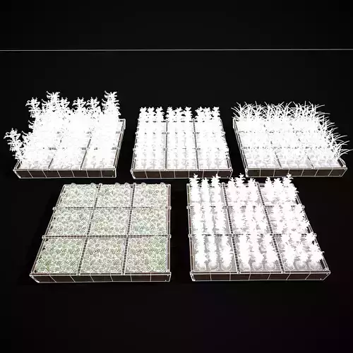 Square Planting Plots Vegetables Low-poly 3D model 2
