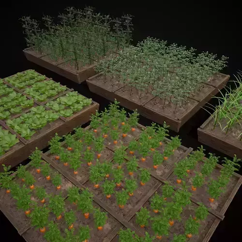 Square Planting Plots Vegetables Low-poly 3D model 7