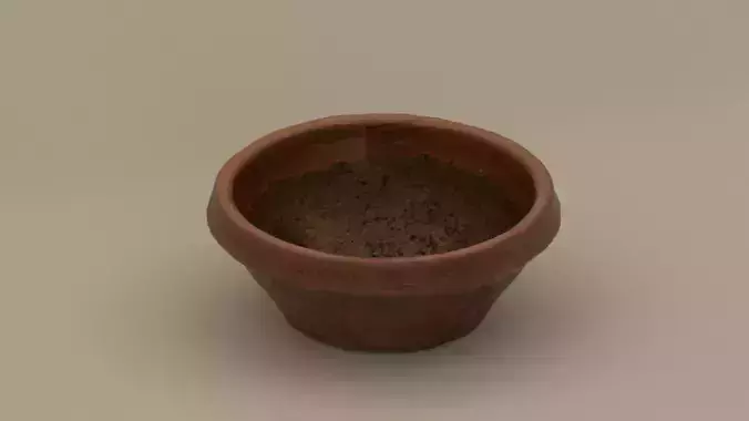 Clay Pot