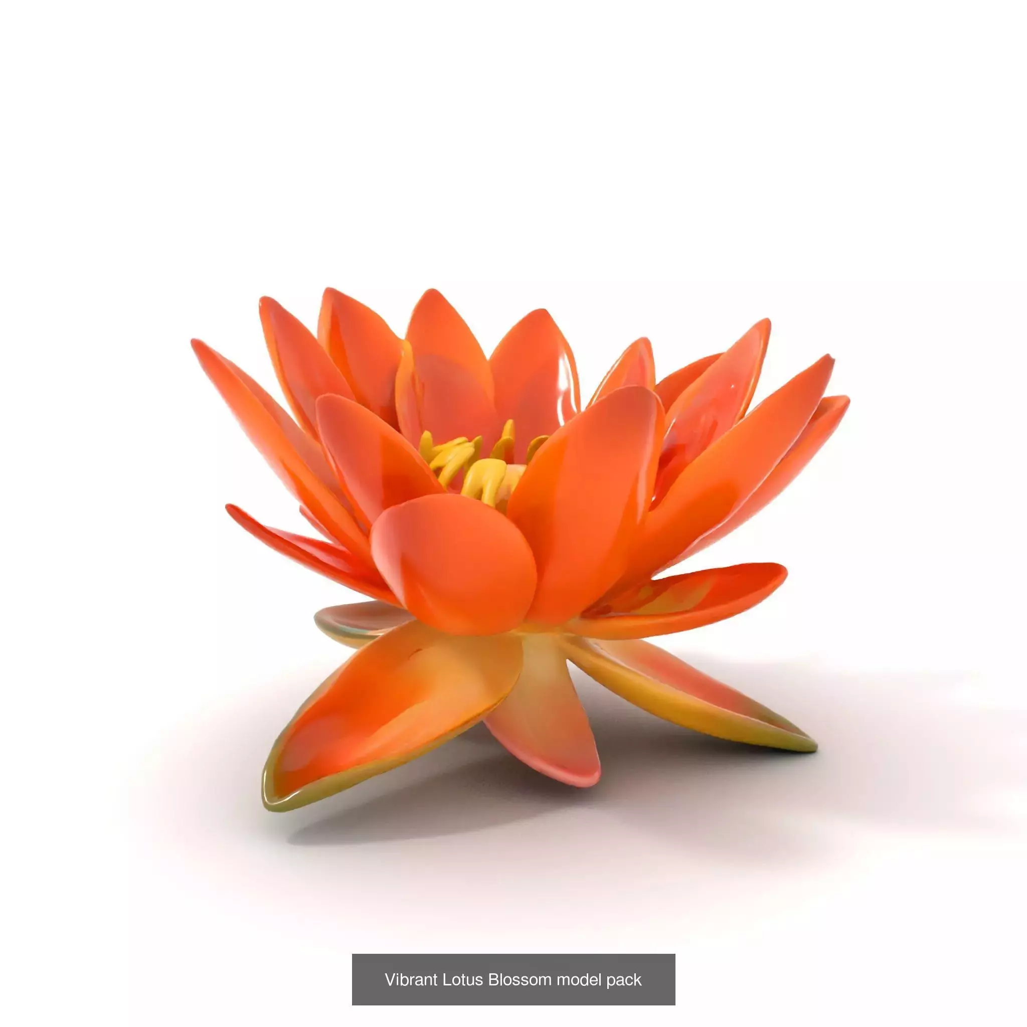 Exquisite Water Lily 3D Collection _7