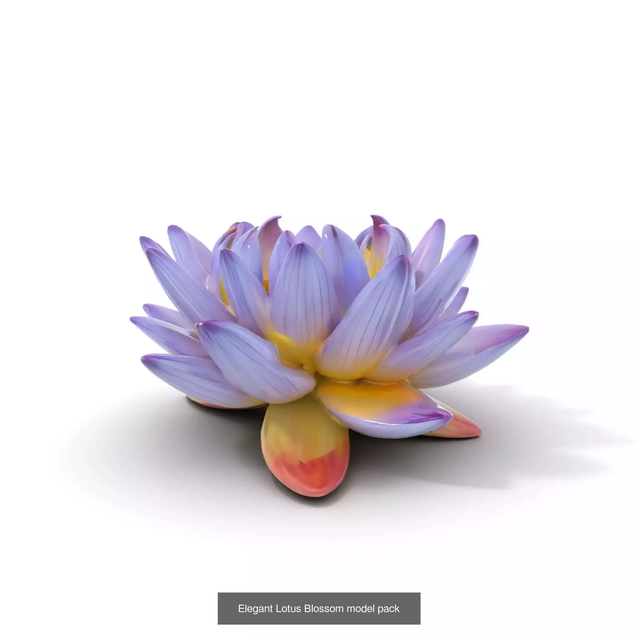 Exquisite Water Lily 3D Collection _9