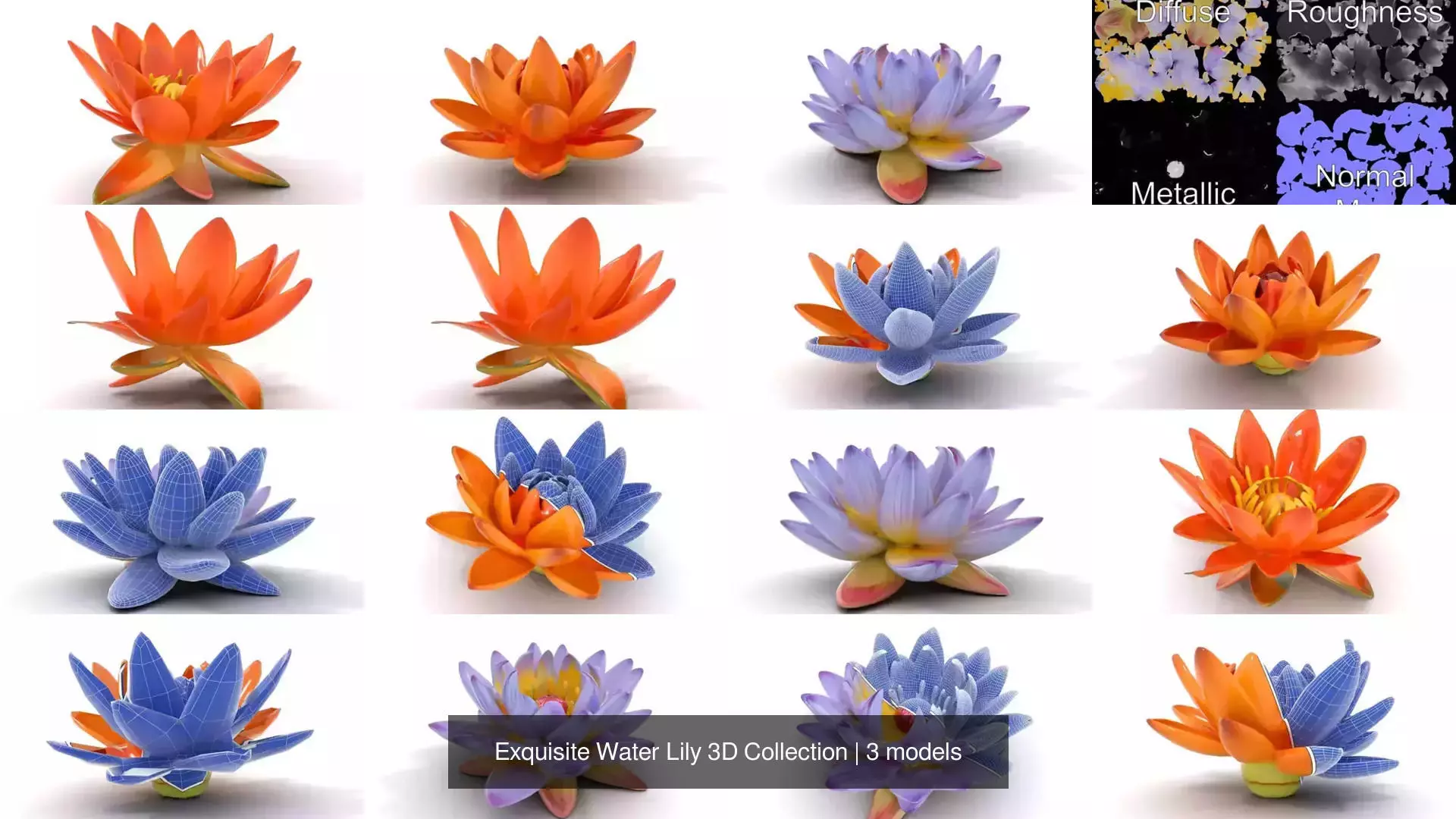 Exquisite Water Lily 3D Collection _0
