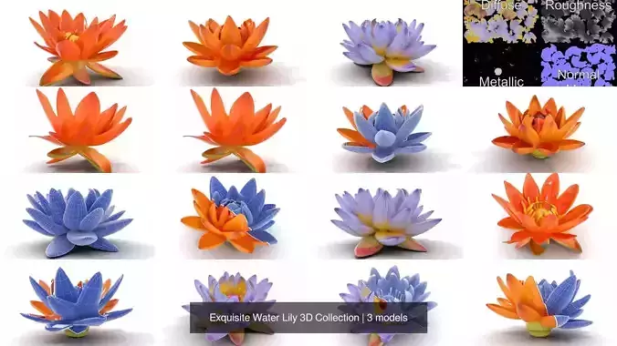 Exquisite Water Lily 3D Collection 