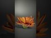 Exquisite Water Lily 3D Collection _4