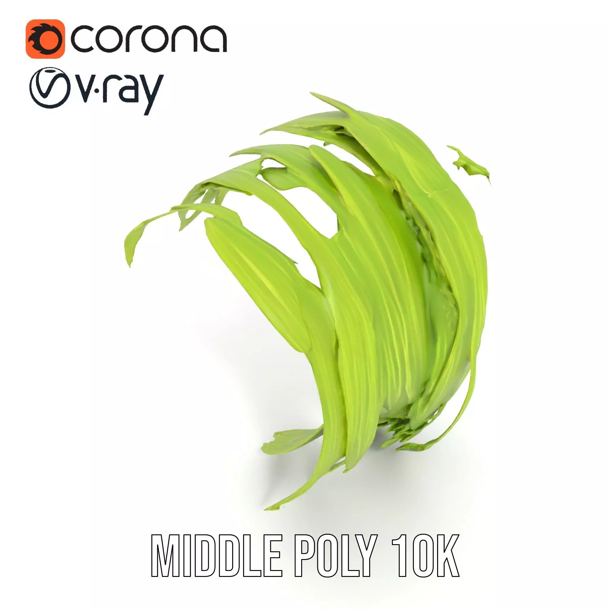 Curved Grass Blades model pack Low-poly 3D model_20