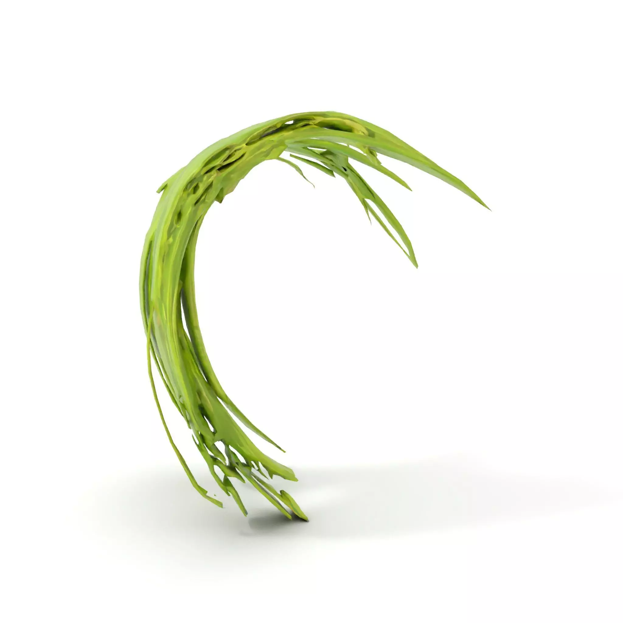 Curved Grass Blades model pack Low-poly 3D model_8