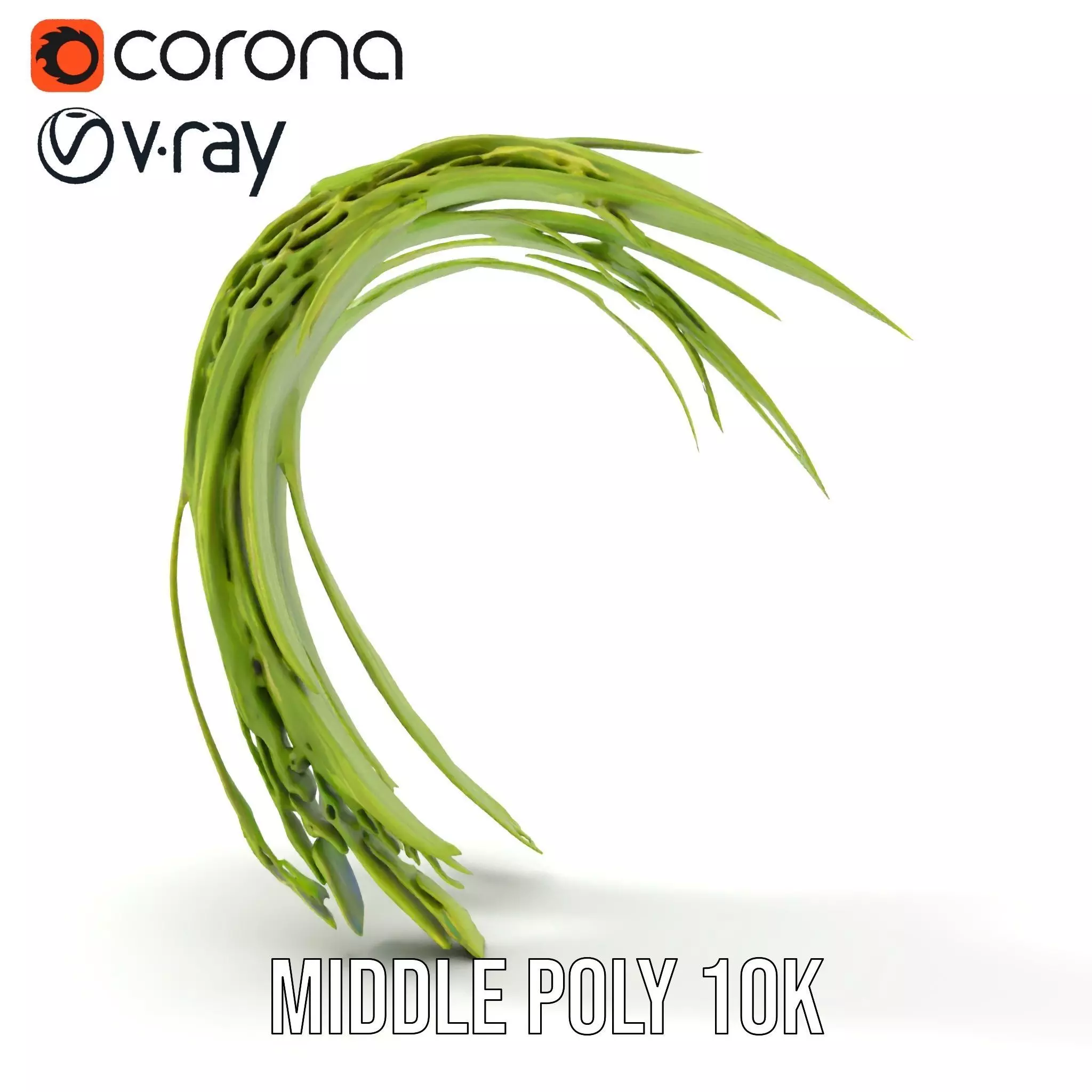 Curved Grass Blades model pack Low-poly 3D model_10