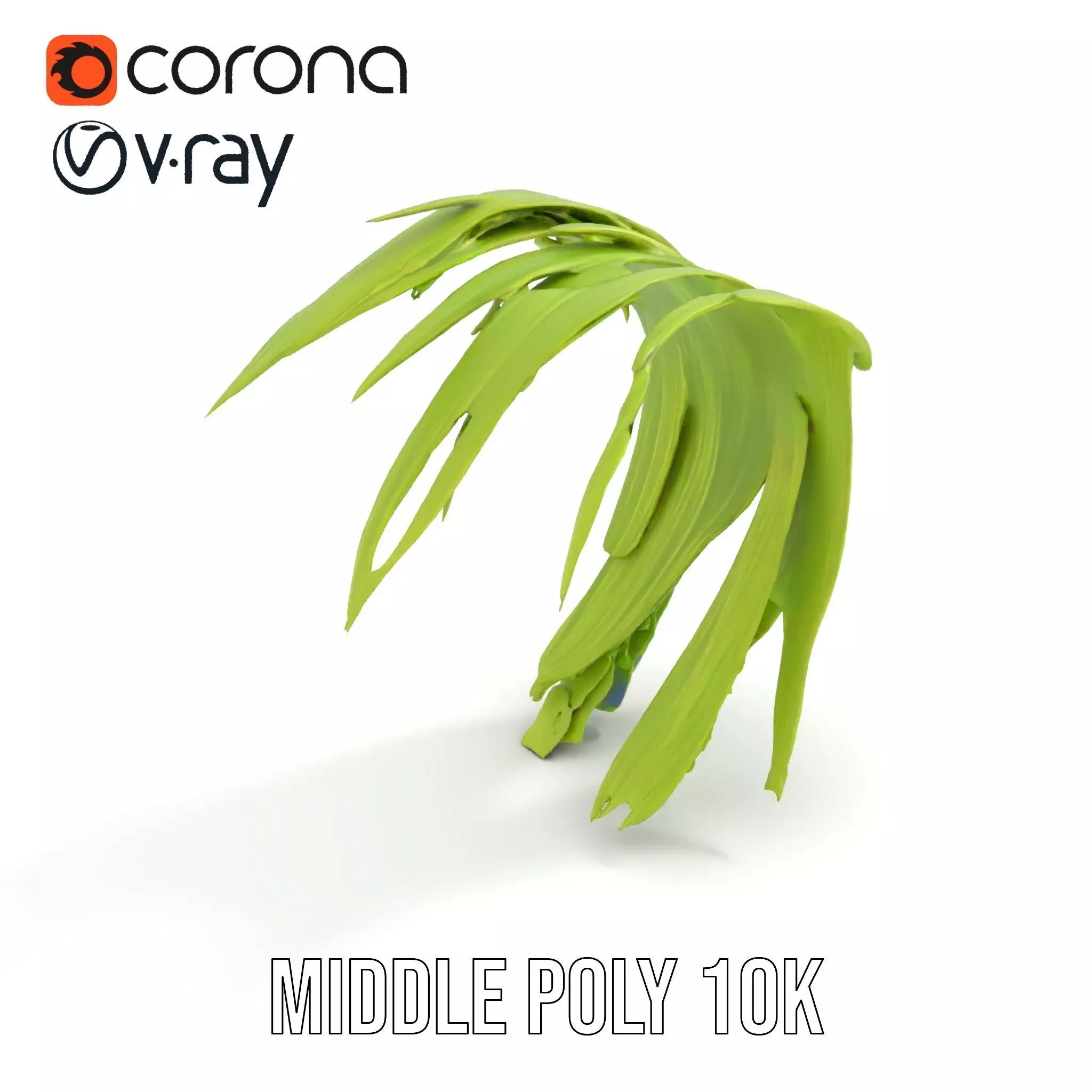 Curved Grass Blades model pack Low-poly 3D model_6