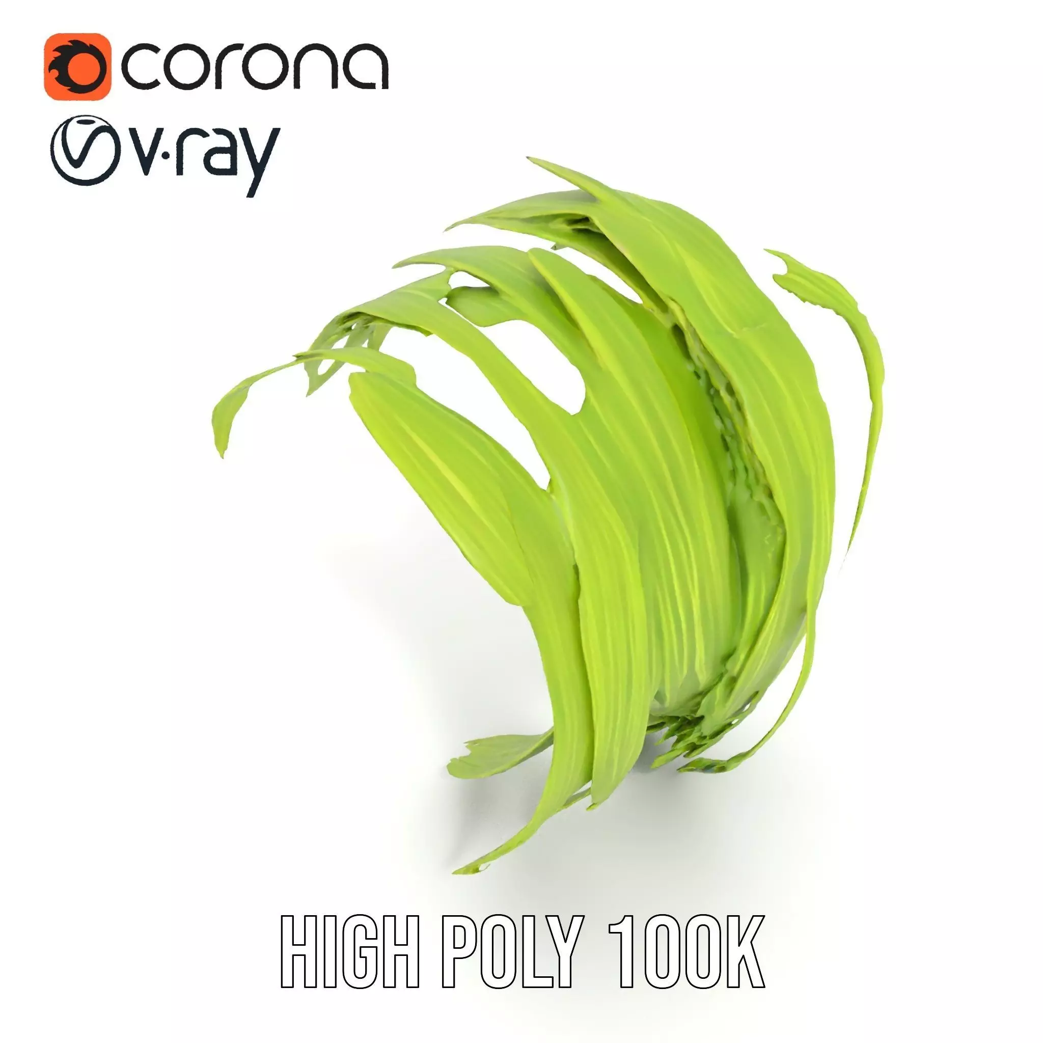 Curved Grass Blades model pack Low-poly 3D model_12