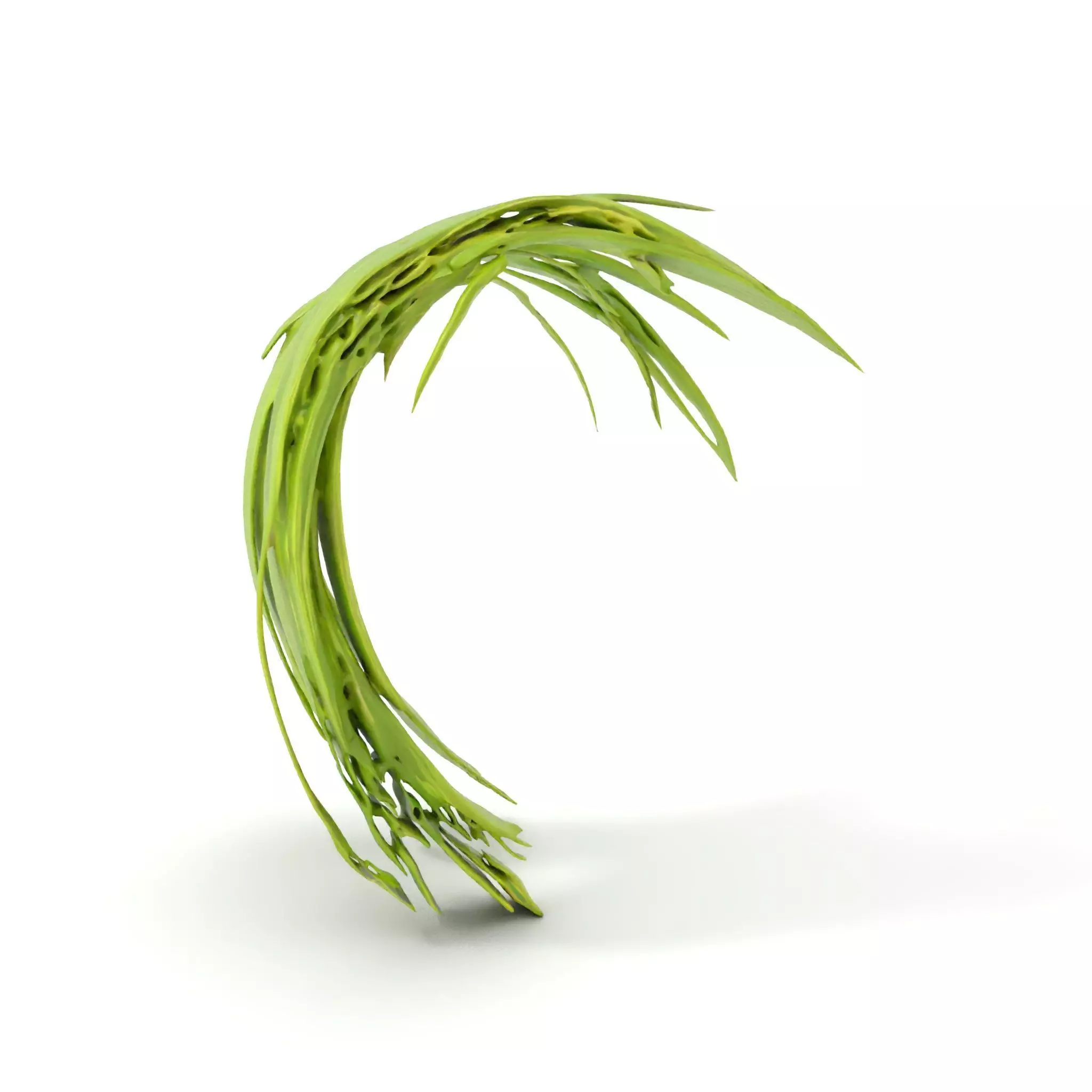 Curved Grass Blades model pack Low-poly 3D model_5