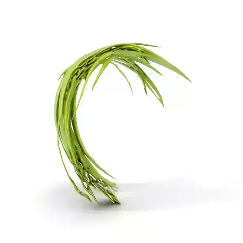 Curved Grass Blades model pack Low-poly 3D model