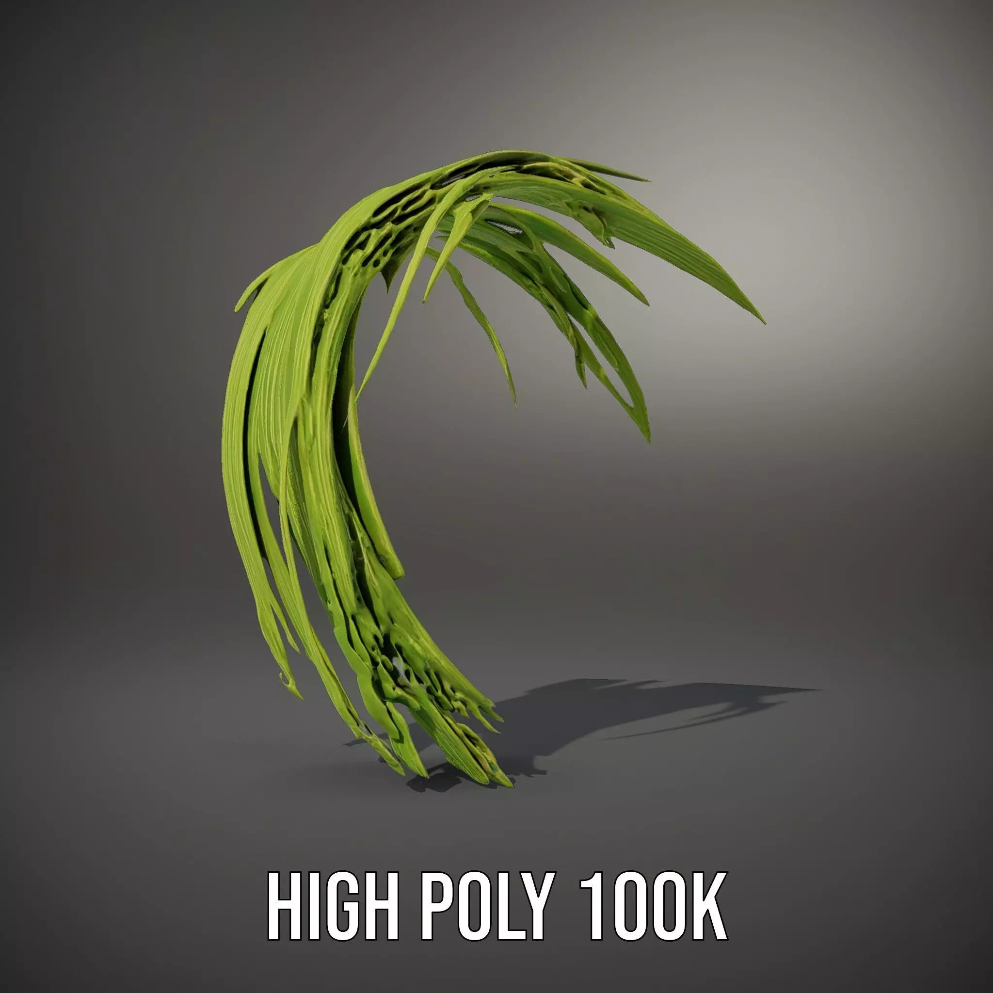 Curved Grass Blades model pack Low-poly 3D model_22