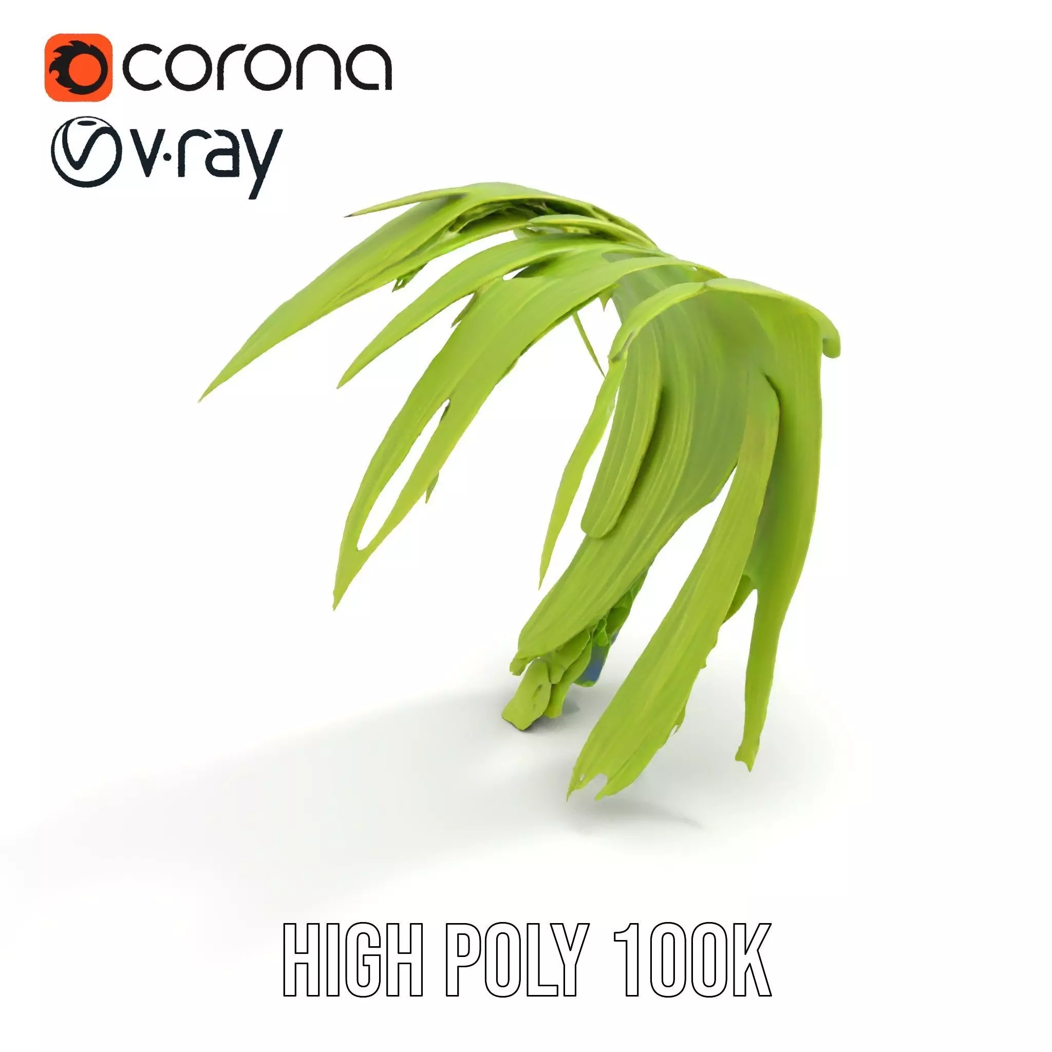 Curved Grass Blades model pack Low-poly 3D model_9