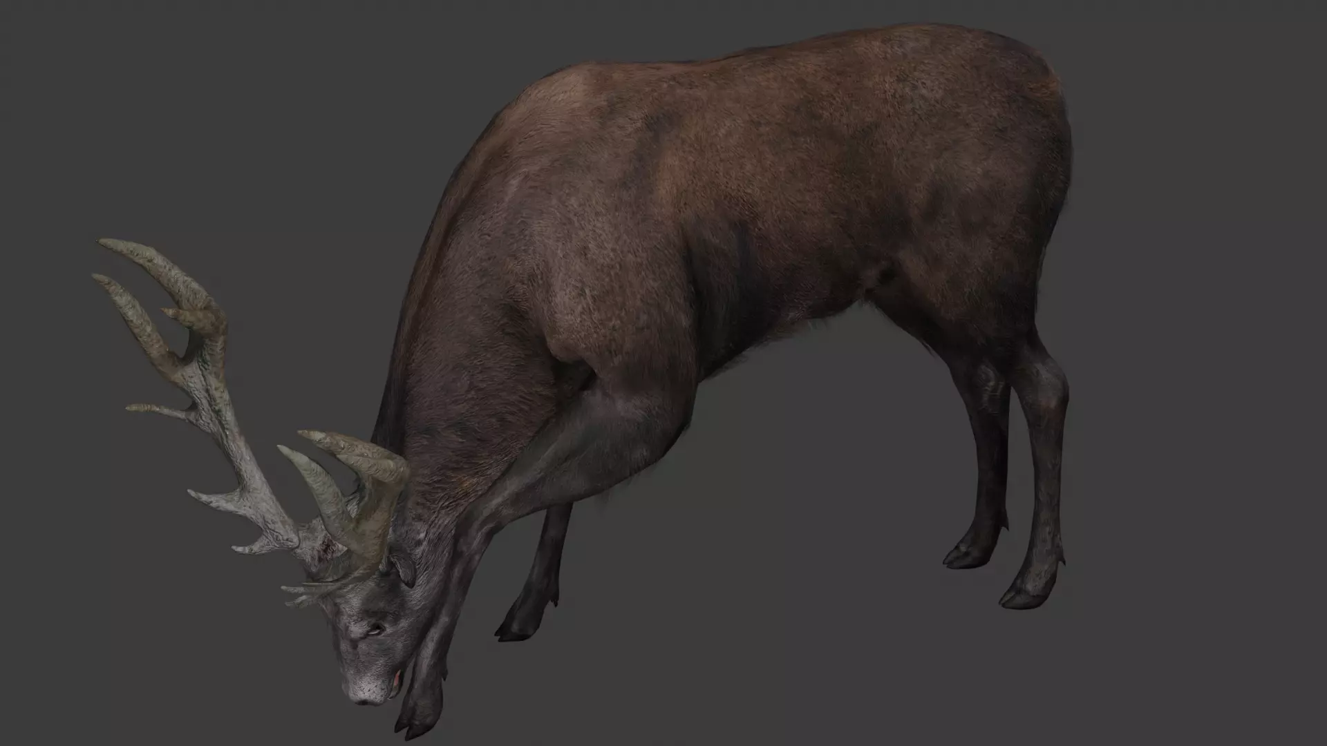 Deer 3D model optimized rigged animated game ready Low-poly 3D model_0