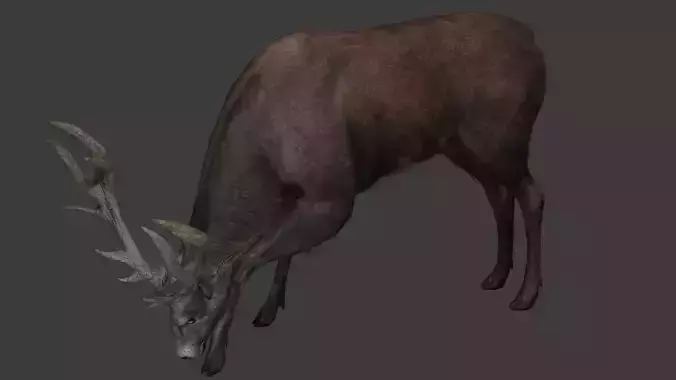 Deer 3D model optimized rigged animated game ready Low-poly 3D model