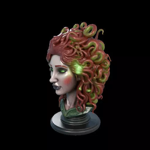 2162  Medusa Gorgon Head 3D Model  magic 3D print model_19