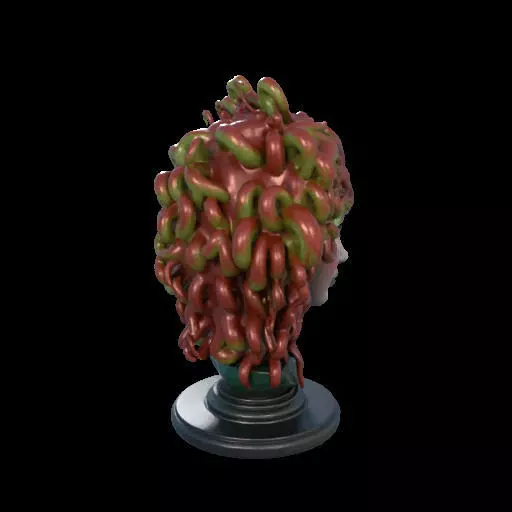 2162  Medusa Gorgon Head 3D Model  magic 3D print model_29