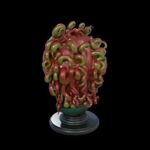 2162  Medusa Gorgon Head 3D Model  magic 3D print model_11