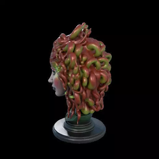 2162  Medusa Gorgon Head 3D Model  magic 3D print model_15