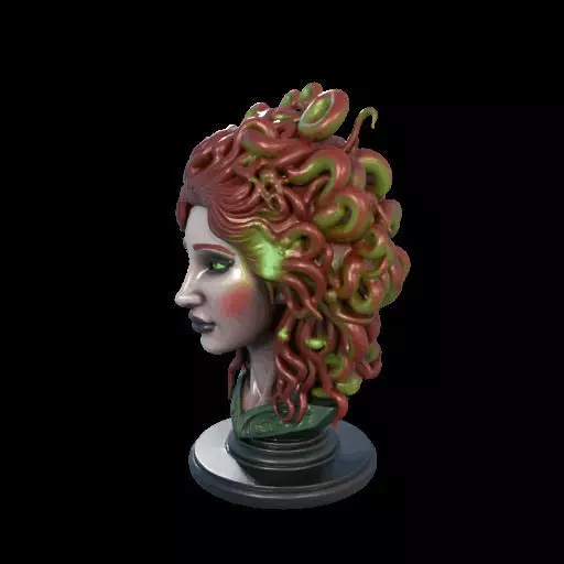 2162  Medusa Gorgon Head 3D Model  magic 3D print model_18