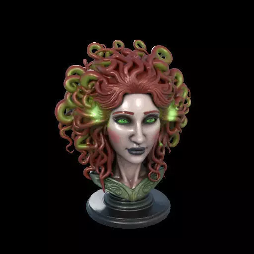 2162  Medusa Gorgon Head 3D Model  magic 3D print model_1