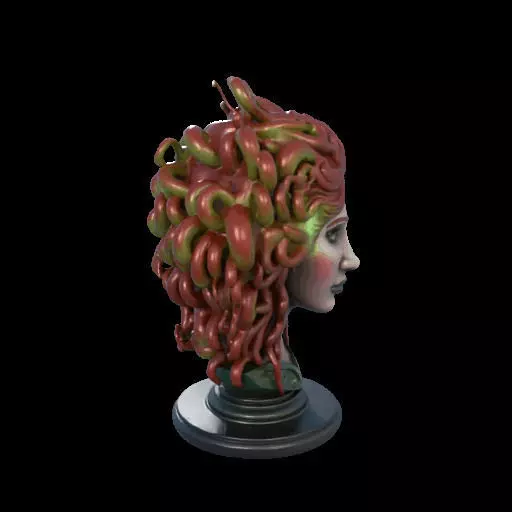 2162  Medusa Gorgon Head 3D Model  magic 3D print model_27