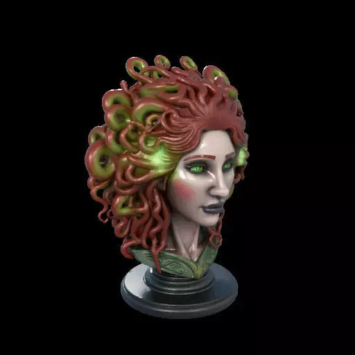 2162  Medusa Gorgon Head 3D Model  magic 3D print model_23