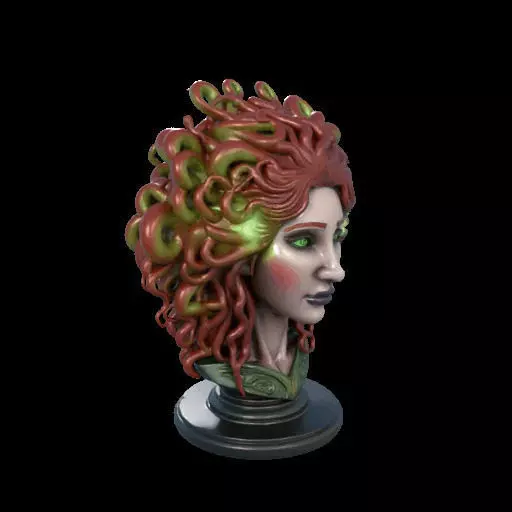 2162  Medusa Gorgon Head 3D Model  magic 3D print model_24