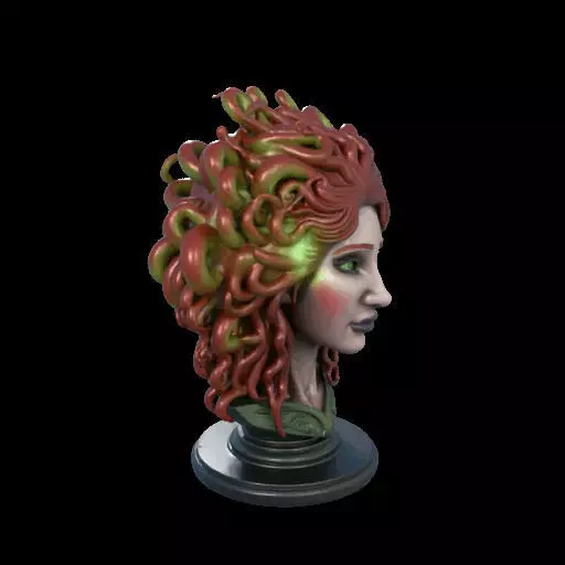 2162  Medusa Gorgon Head 3D Model  magic 3D print model_25