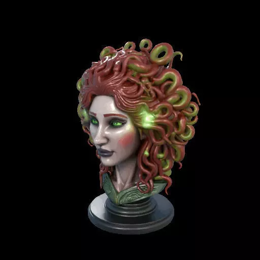 2162  Medusa Gorgon Head 3D Model  magic 3D print model_20
