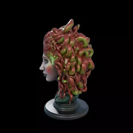 2162  Medusa Gorgon Head 3D Model  magic 3D print model_16