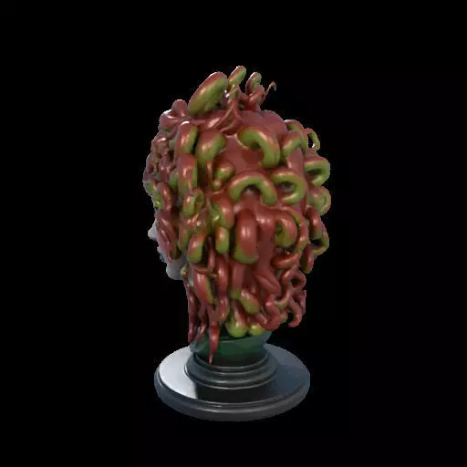 2162  Medusa Gorgon Head 3D Model  magic 3D print model_14