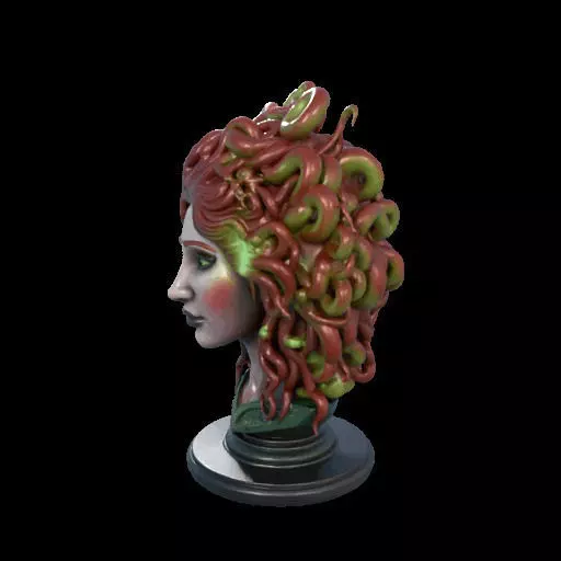 2162  Medusa Gorgon Head 3D Model  magic 3D print model_17