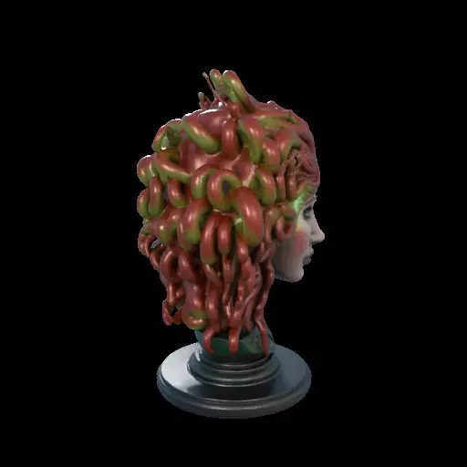 2162  Medusa Gorgon Head 3D Model  magic 3D print model_28