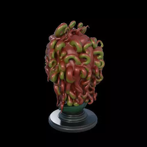 2162  Medusa Gorgon Head 3D Model  magic 3D print model_13