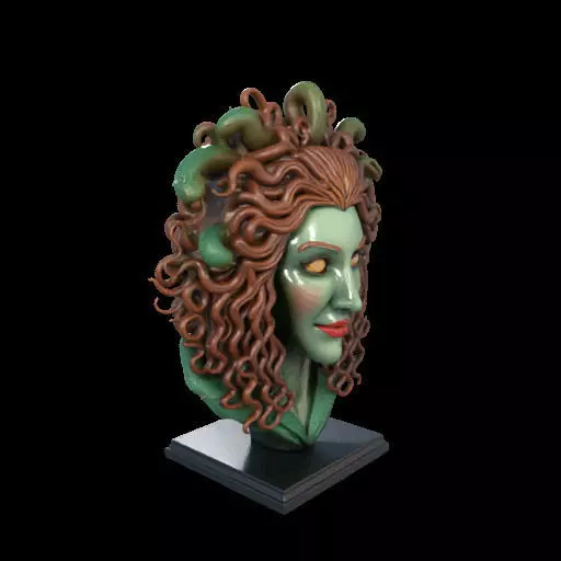 2163  Medusa Gorgon Head 3D Model  magic 3D print model_24