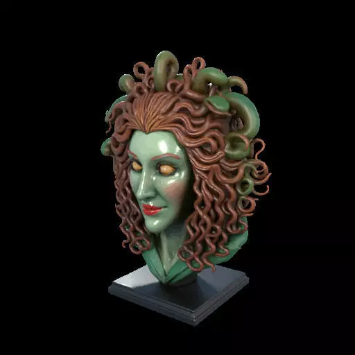 2163  Medusa Gorgon Head 3D Model  magic 3D print model_20