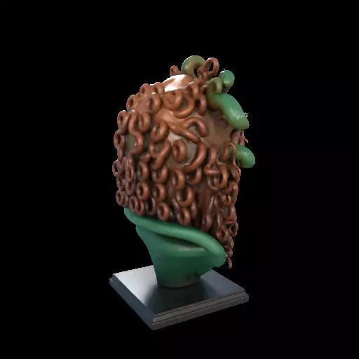 2163  Medusa Gorgon Head 3D Model  magic 3D print model_2