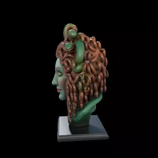 2163  Medusa Gorgon Head 3D Model  magic 3D print model_16